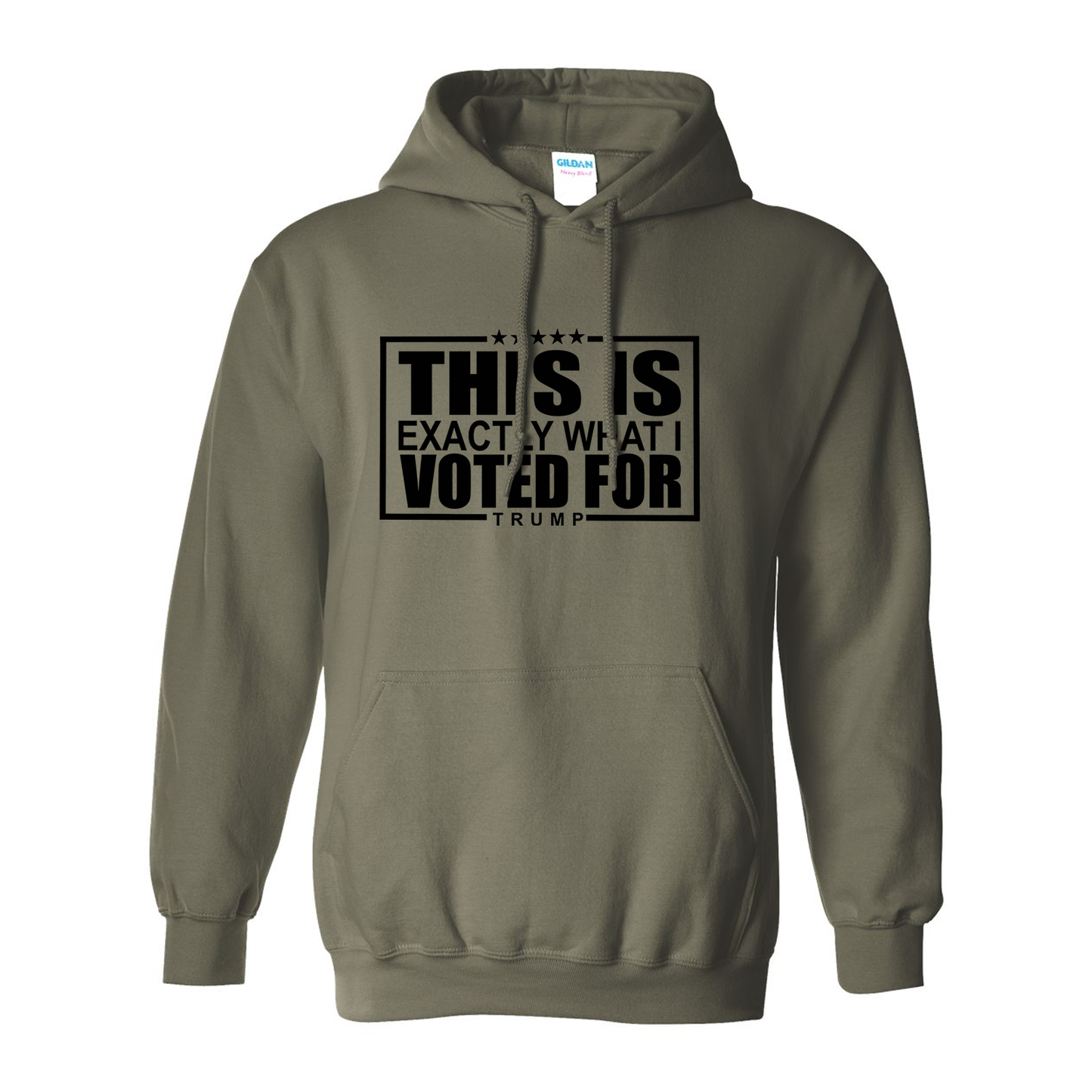 This Is Exactly What I Voted For Hoodie