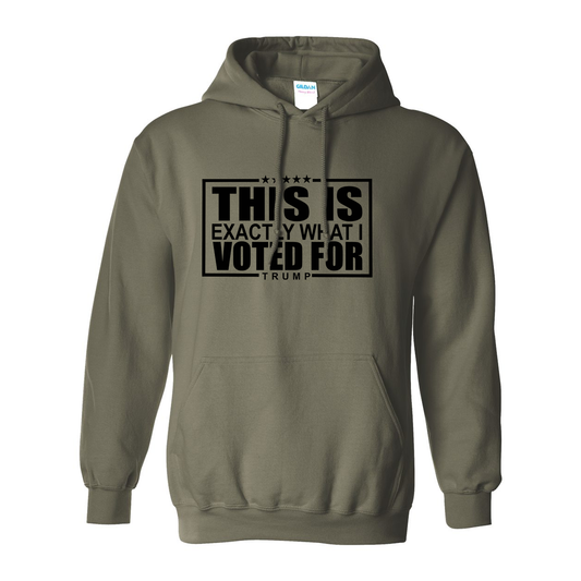This Is Exactly What I Voted For Hoodie